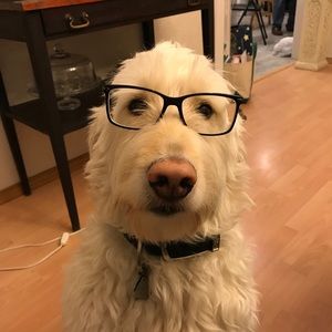 “Your mother and I would like a word with you!”😂